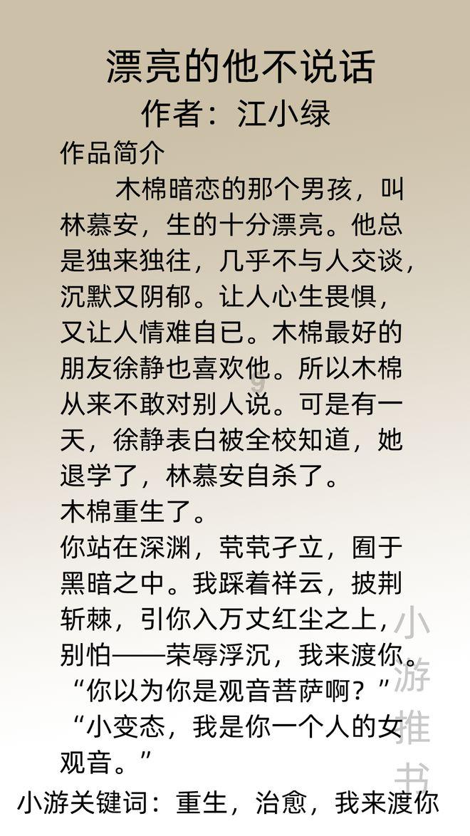 nSS讠W是什么意思游戏画面